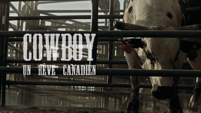 COWBOY - IMAGE SRIE